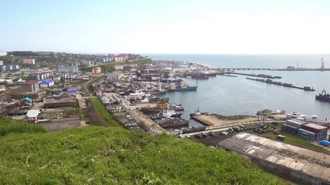 Loading of ships in port 스톡 동영상 81945215