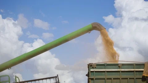 Loading soy in the truck Video stock 95638569
