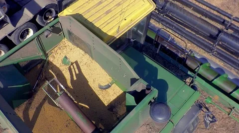 Off Loading Soybean Crop onto Trailer Video stock 68541728