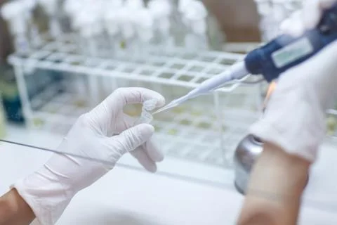 Loading stripe of samples for dna analysis Stock Photos