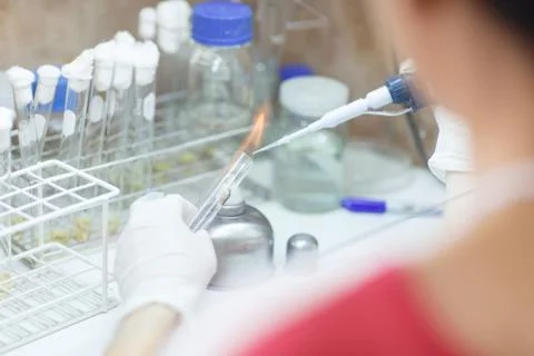 Loading stripe of samples for dna analysis Stock Photos