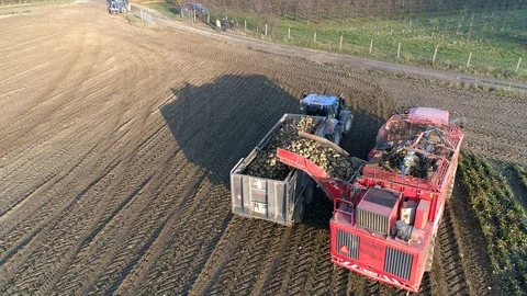 Loading sugar beet on a tractor, aerial view Stock Footage 123663475