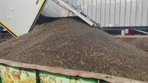 Loading sunflower seeds onto the ship. Delivery of grain crops to the seaport Video stock 264359128