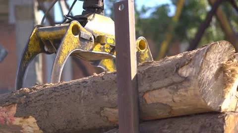Loading timber Stock Footage 11686683
