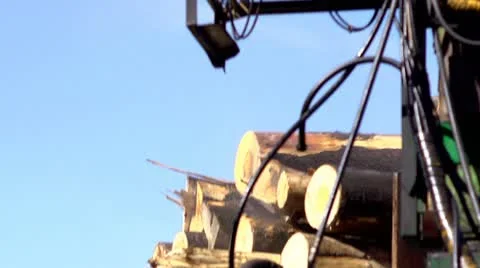 Loading timber Stock Footage 11687307