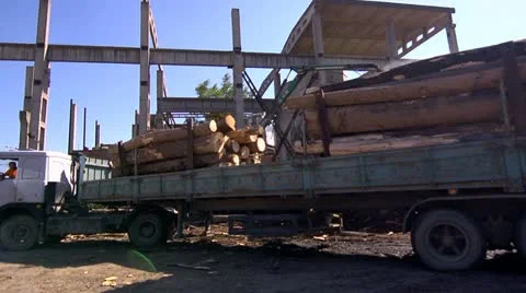 Loading timber Stock Footage 11691975