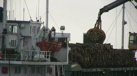 Loading timber, harbor Stock Footage 563322
