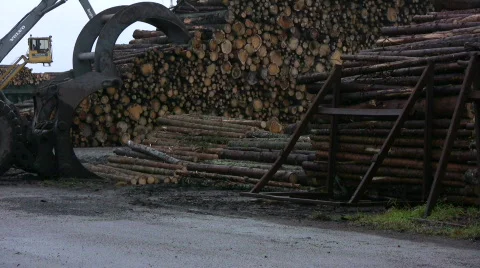 Loading timber, harbor Stock Footage 566573