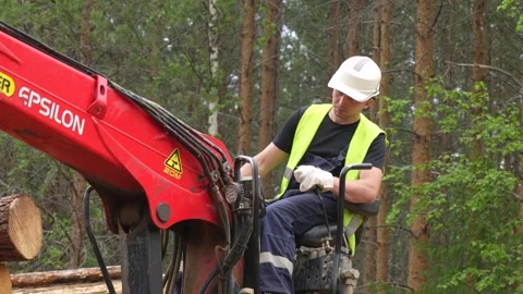Loading timber into a logging truck Video stock 293205862