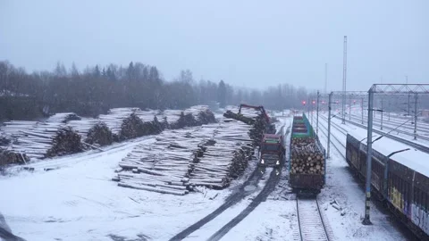 Loading of a timber to a train carriage Stock Footage 145659006