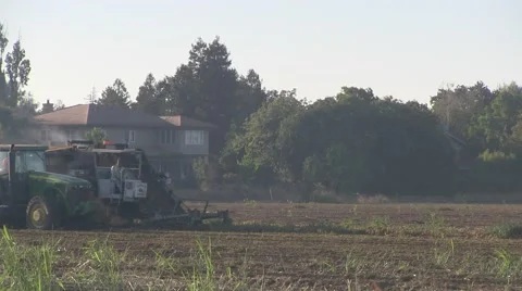 Loading tomatos for harvest to cannery Video stock 54099685