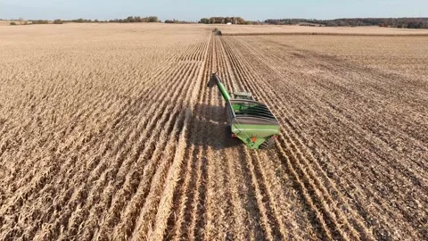 Loading tractor Stock Footage 244139588