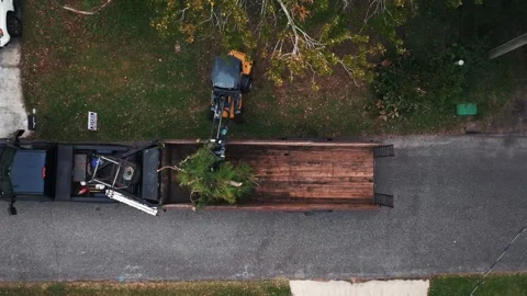 Loading up tree branches in trailer Stock Footage 282326361