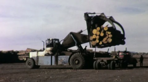 Loading Truck Loading Giant Log Old Growth Logging 1960s Vintage Movie Film 1536 Видео 9761041