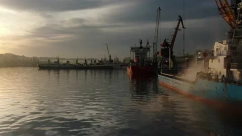 Loading of wheat grain on a bulk carrier at the ship's pier in the port. 스톡 동영상 141623927