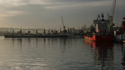 Loading of wheat grain on a bulk carrier at the ship's pier in the port. Stock Footage 141624879