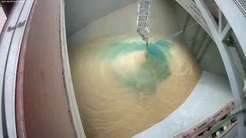 Loading of wheat grain on a ship. Coloring grain with food paint when loading on Vidéo 154361875