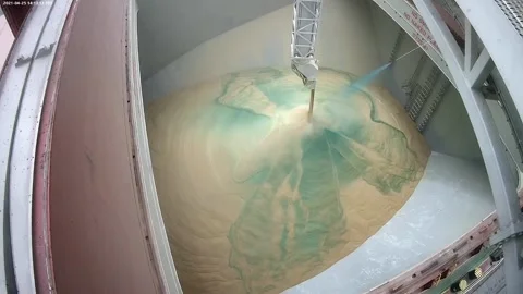 Loading of wheat grain on a ship. Coloring grain with food paint when loading on Stock Footage 154361938