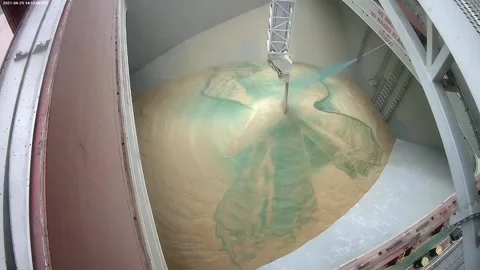 Loading of wheat grain on a ship. Coloring grain with food paint when loading on Stock Footage 154362117