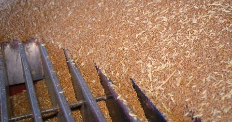 Loading wheat grains in a silo after harvest, close up Stock Footage 312509375