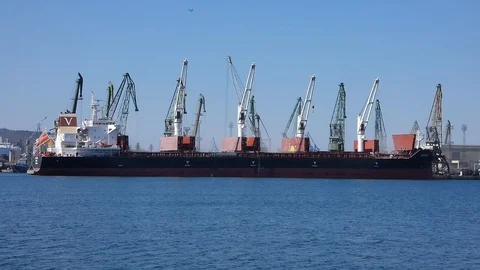 Loading of wheat on a large cargo ship Stock Footage 105126275