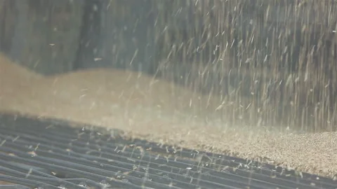 Loading wheat into a silo Stock Footage 133043562
