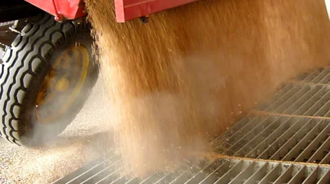 Loading wheat in a silo, slow motion Stock Footage 25596419