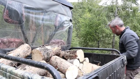 Loading Wood Video stock 274563006