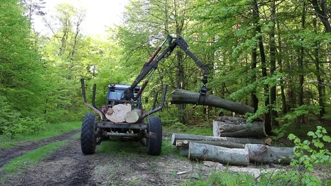 Loading wood in the forest Stock Footage 69947476