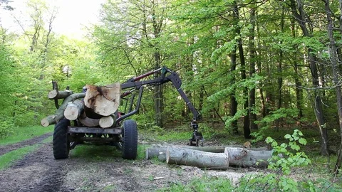 Loading wood in the forest Stock Footage 69948583