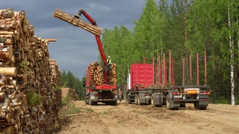 Loading wood into a logging truck Stockbeeldmateriaal 293194890