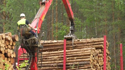 Loading wood into a logging truck Stockbeeldmateriaal 293205783