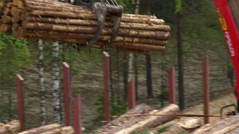 Loading wood into a logging truck Stockbeeldmateriaal 293210670