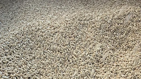 Loading Wood Pellet Fuel into Automatic Boiler Hopper Bin Video stock 329908905