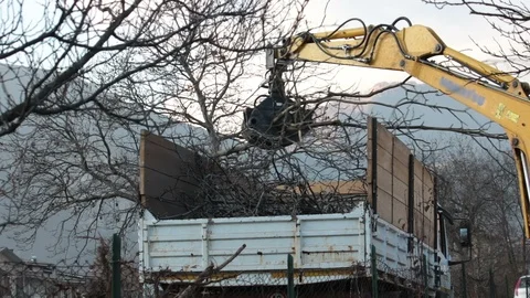 Loading wood on a truck Stock Footage 99649399