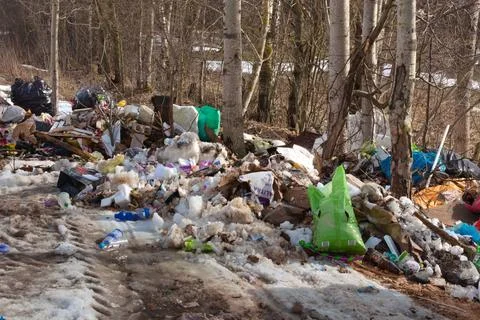 Loads of trash in forest Stock Photos
