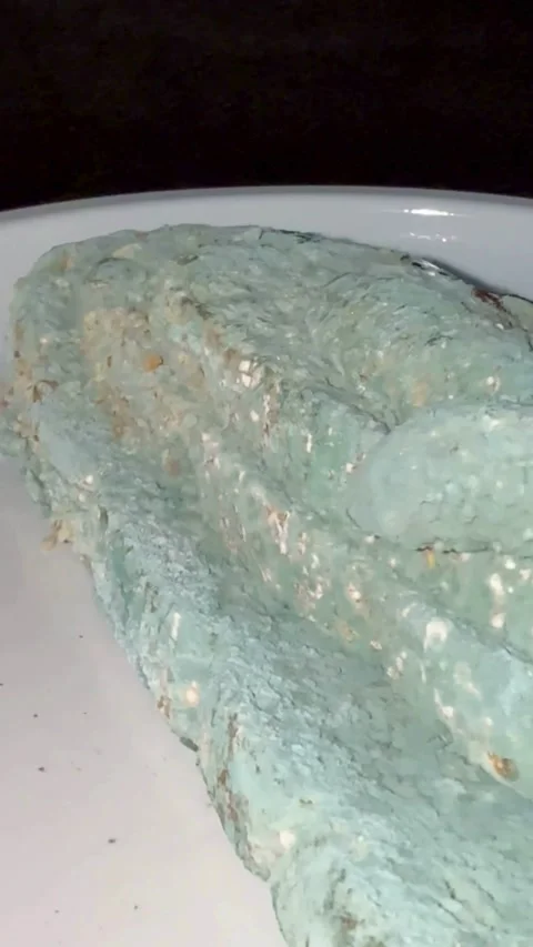Loaf of bread covered in blue and green mold Stock Footage 331982193