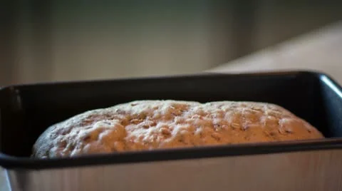 Loaf of Bread Dough Rising in Pan Stock Footage 12688235