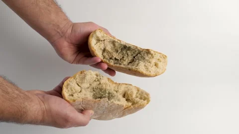 A loaf of bread with mold is broken in half.  Disposal of bread. Stock Footage 299281836