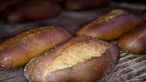 Loaf of bread on the production line in the bakery.  Bread  food production Stock Footage 86726423