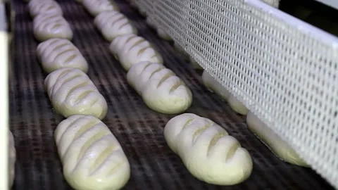 Loaf of bread on the production line in the bakery.  Bread  food production Stock Footage 88619256