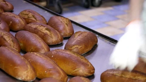 Loaf of bread on the production line in the bakery.  Bread  food production Stock Footage 88619316