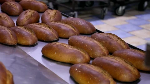 Loaf of bread on the production line in the bakery.  Bread  food production Stock Footage 88619331