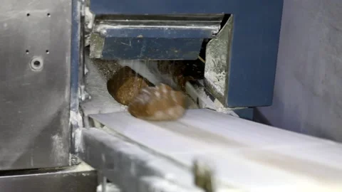 Loaf of bread on the production line in the bakery.  Bread  food production Stock Footage 88619335