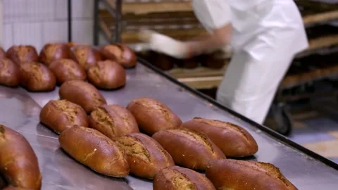 Loaf of bread on the production line in the bakery.  Bread  food production Stock Footage 88619346