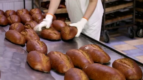 Loaf of bread on the production line in the bakery.  Bread  food production Stock Footage 88619428