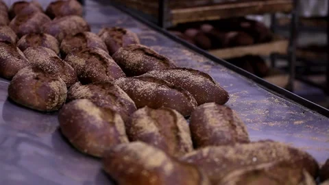 Loaf of bread on the production line in the bakery.  Bread  food production Stock Footage 88619444