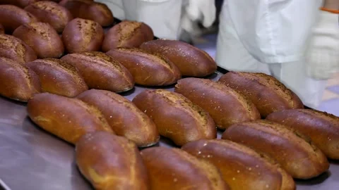 Loaf of bread on the production line in the bakery.  Bread  food production Stock Footage 88619482