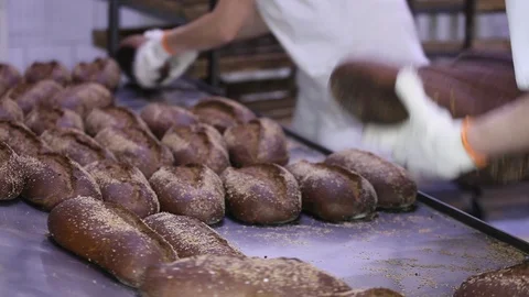 Loaf of bread on the production line in the bakery.  Bread  food production 스톡 동영상 88619622
