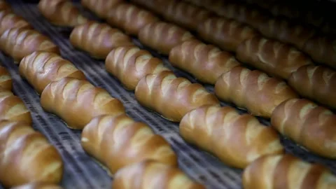 Loaf of bread on the production line in the bakery.  Bread  food production Stock Footage 88619744